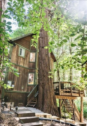 Forest Hideaway home